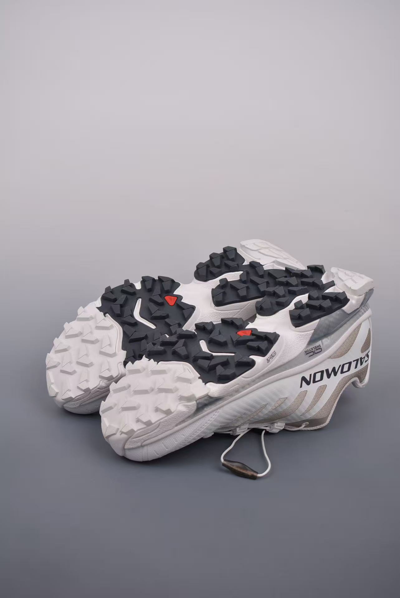 Salomon - Image 4