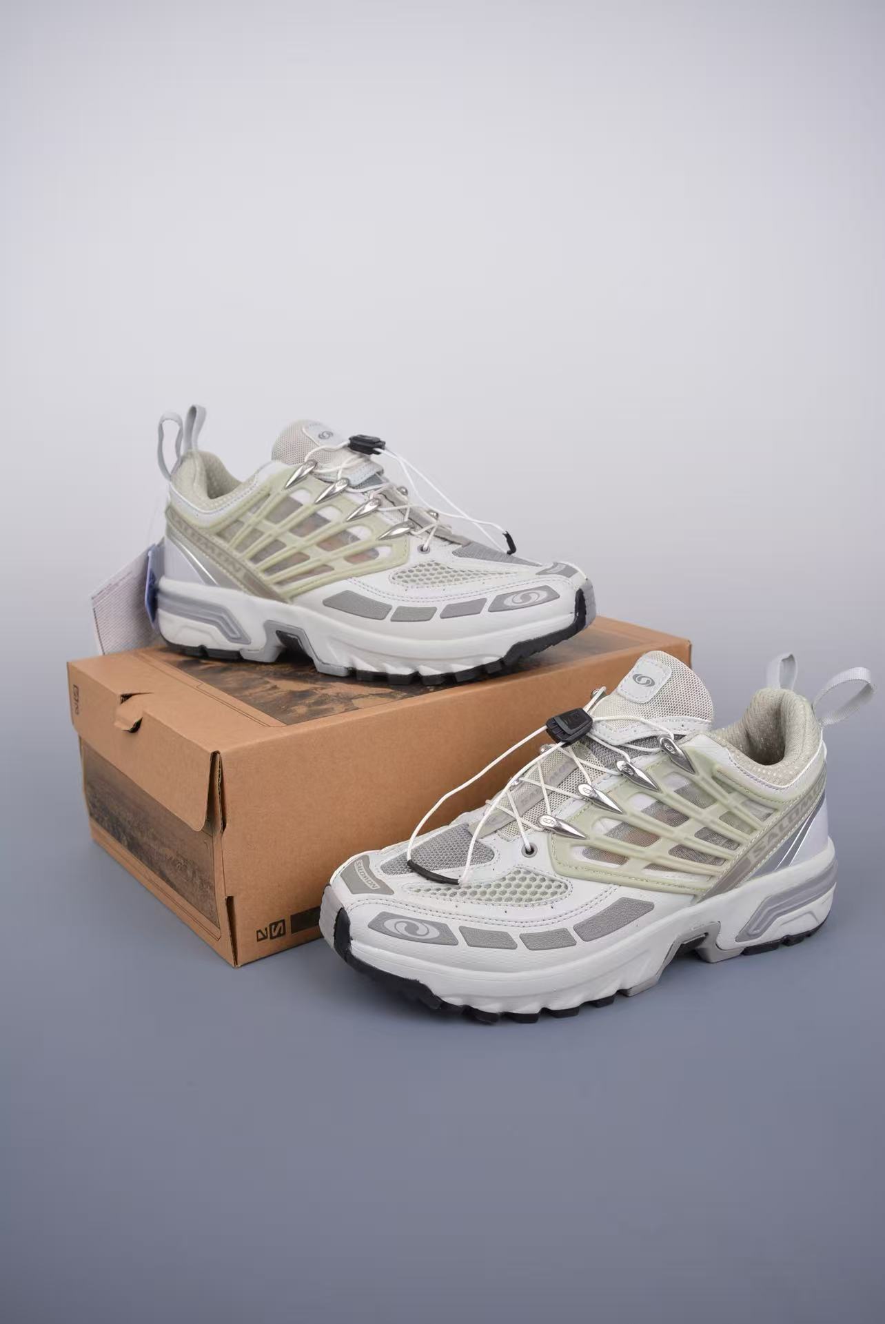 Salomon - Image 3